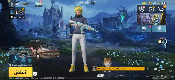 اسم ببجي (بحث) 0