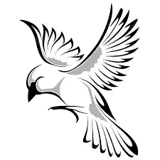 طيور 0