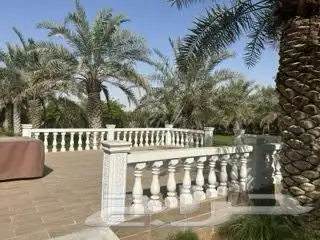 مزرعه ريفيه للايجار اليومي 6