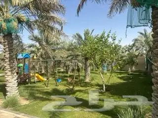 مزرعه ريفيه للايجار اليومي 8