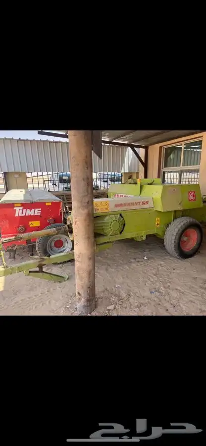 بذاره تيوم الجميح جديده و لبانه الجميح 55 قلاس حراثه 0