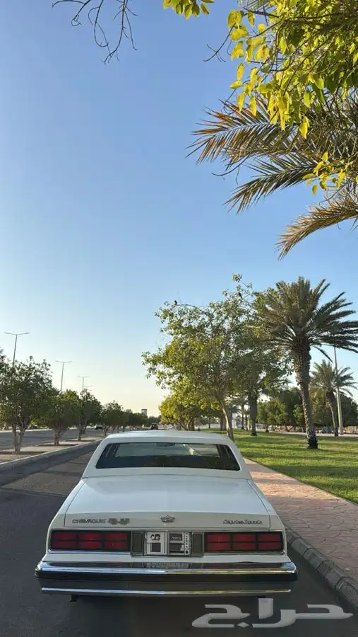 كابريس 1989 نظيف 7