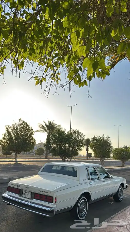 كابريس 1989 نظيف 2