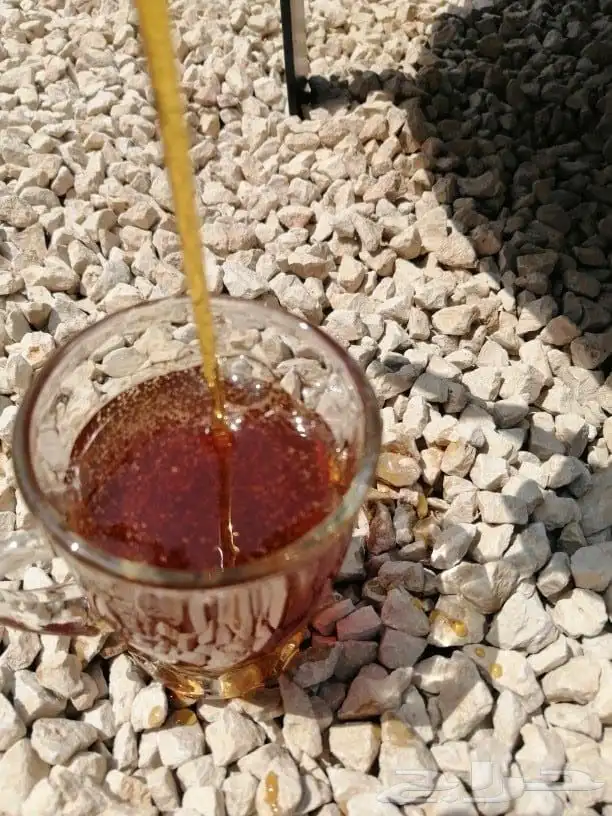 دبس تمر برحي سطل 1