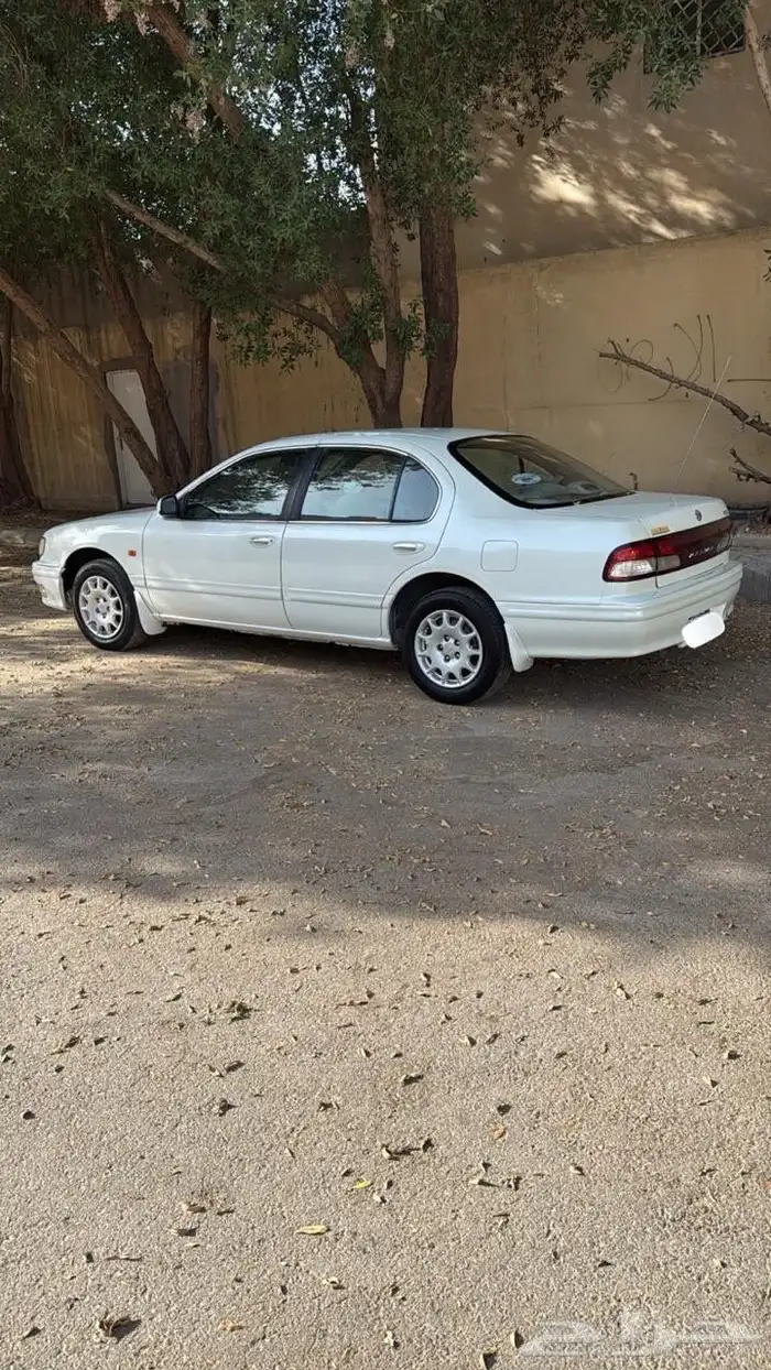 مكسيما 99 مقير لونها من عنابي لأبيض بدي بلد محركات بلد 3