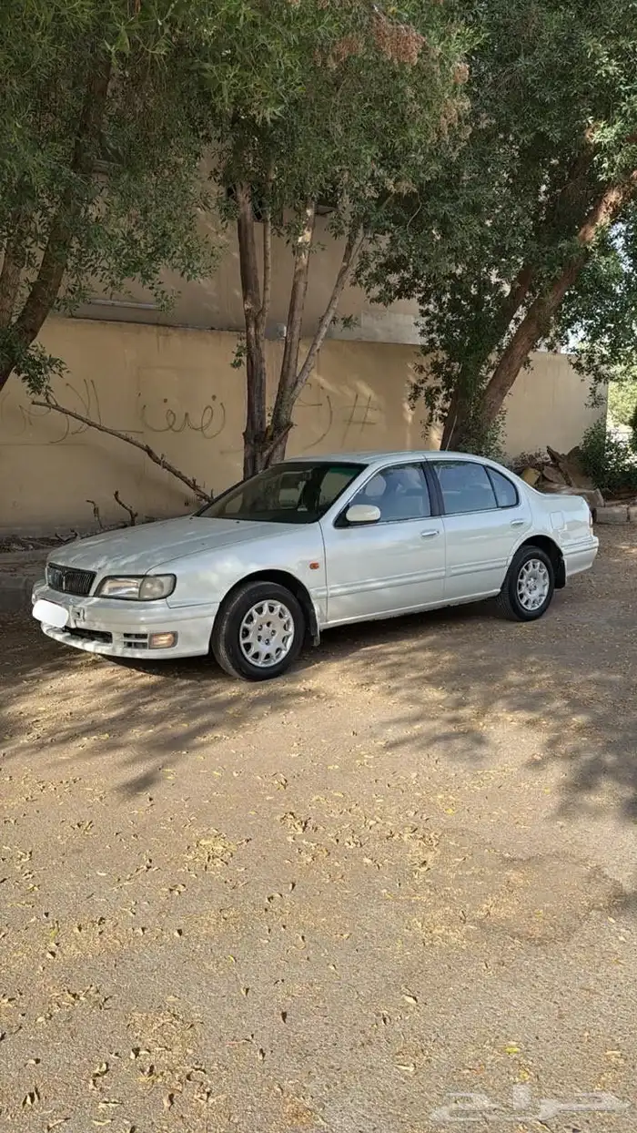 مكسيما 99 مقير لونها من عنابي لأبيض بدي بلد محركات بلد 7