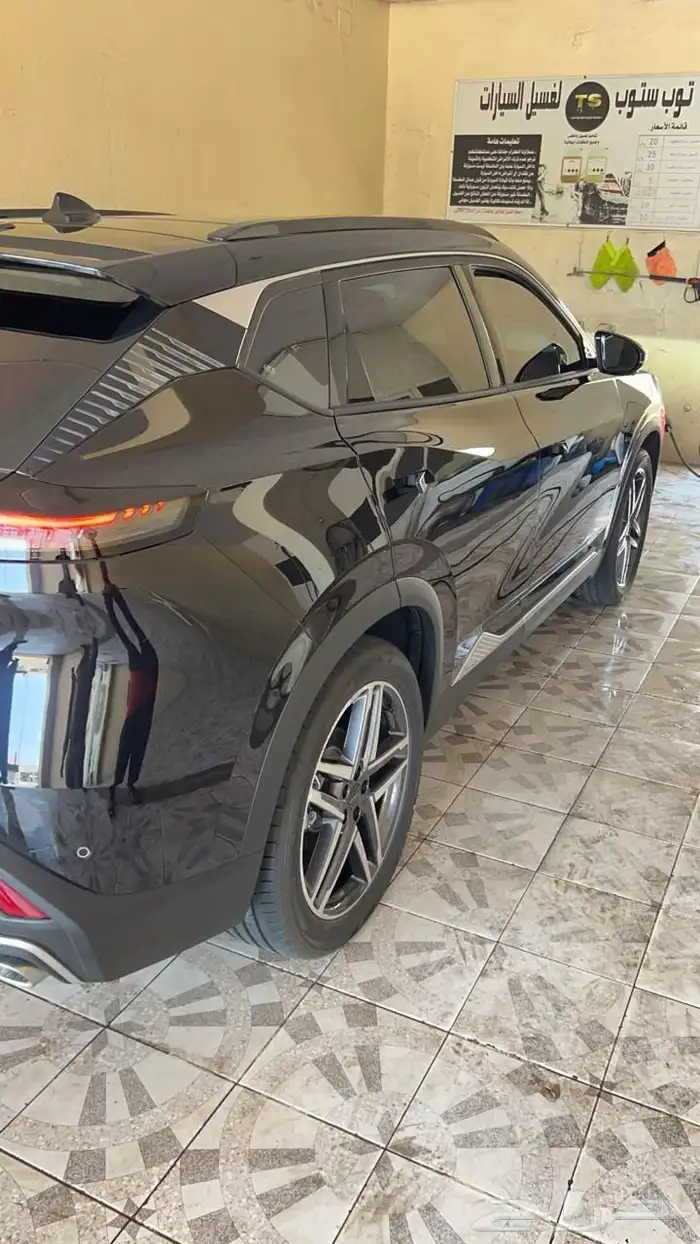 دونج فينج MAGE 320T 2025 للبيع 23