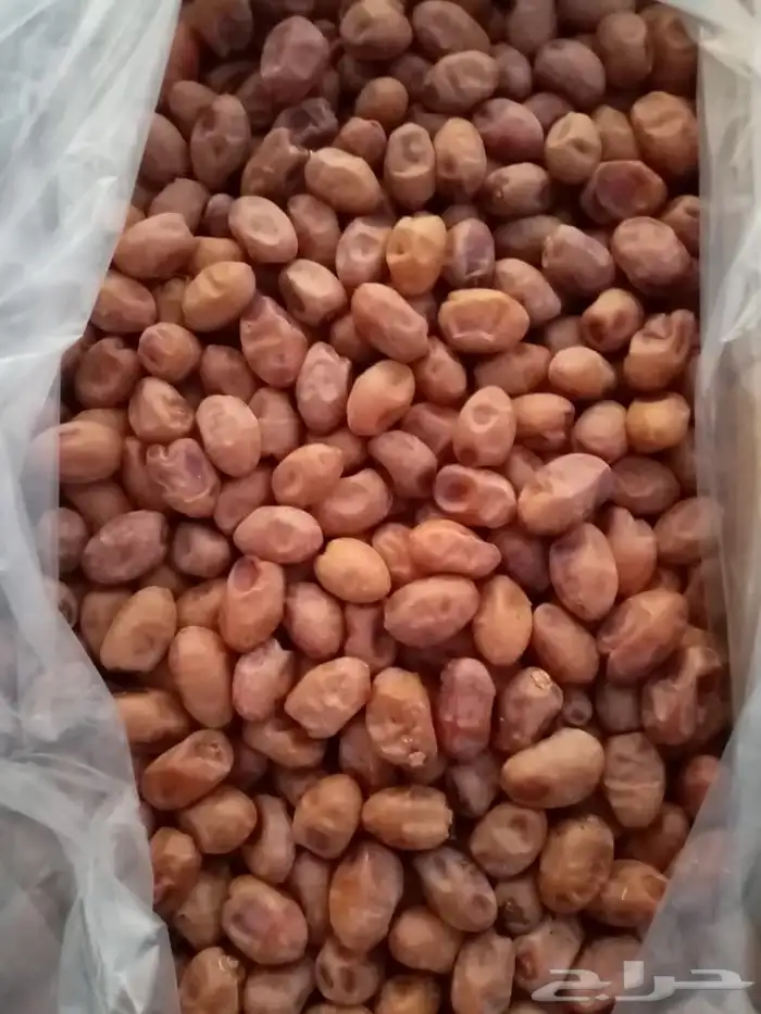 تمر خلاص فاخر 0