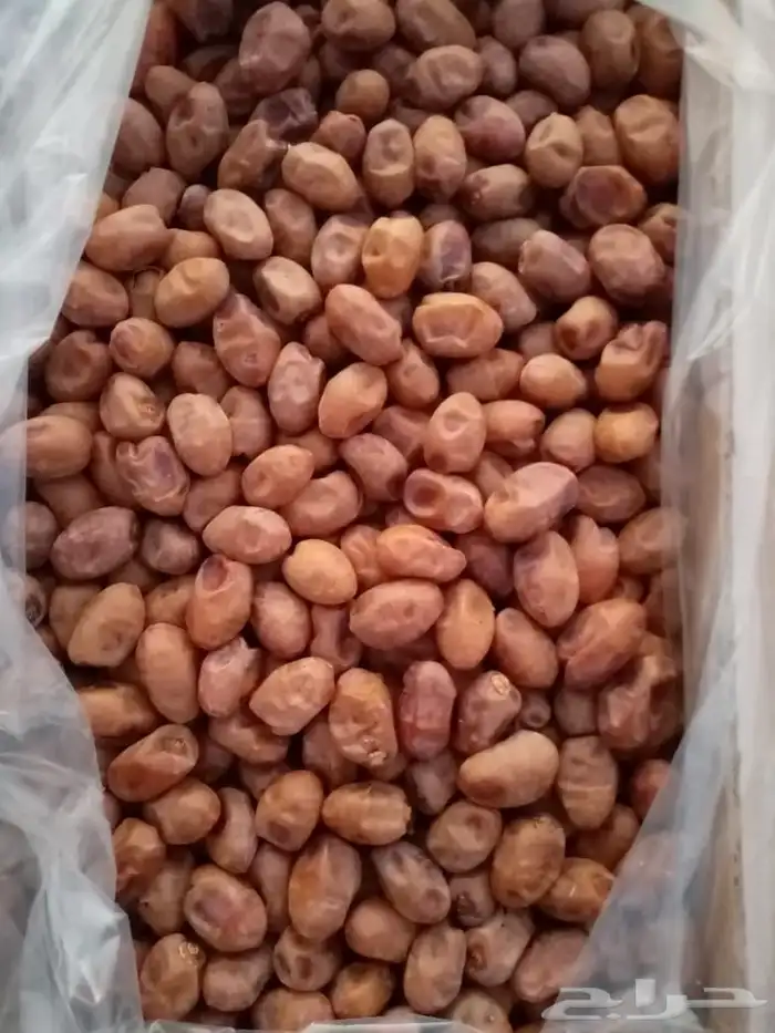 تمر خلاص فاخر 1