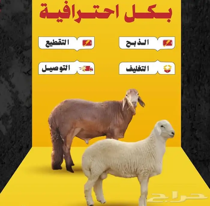 ذبايح فاخرة 2