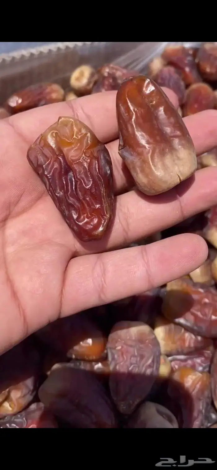 برني العيص الملكي 0