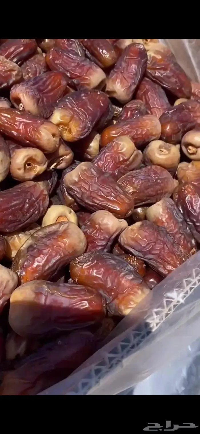 برني العيص الملكي 1