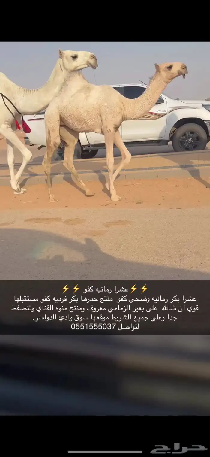 عشرا كفو 0