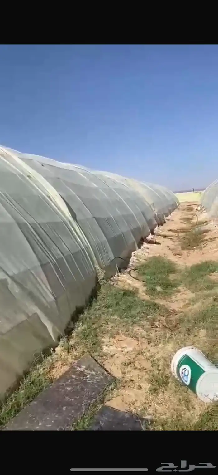 بيوت محميه 4