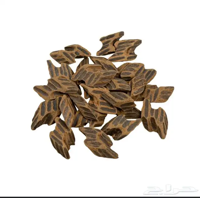 عود تايقر فيتنامي 1