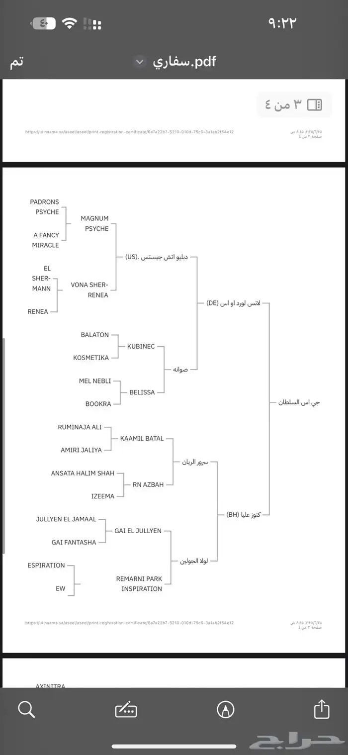 حصان واهو 3