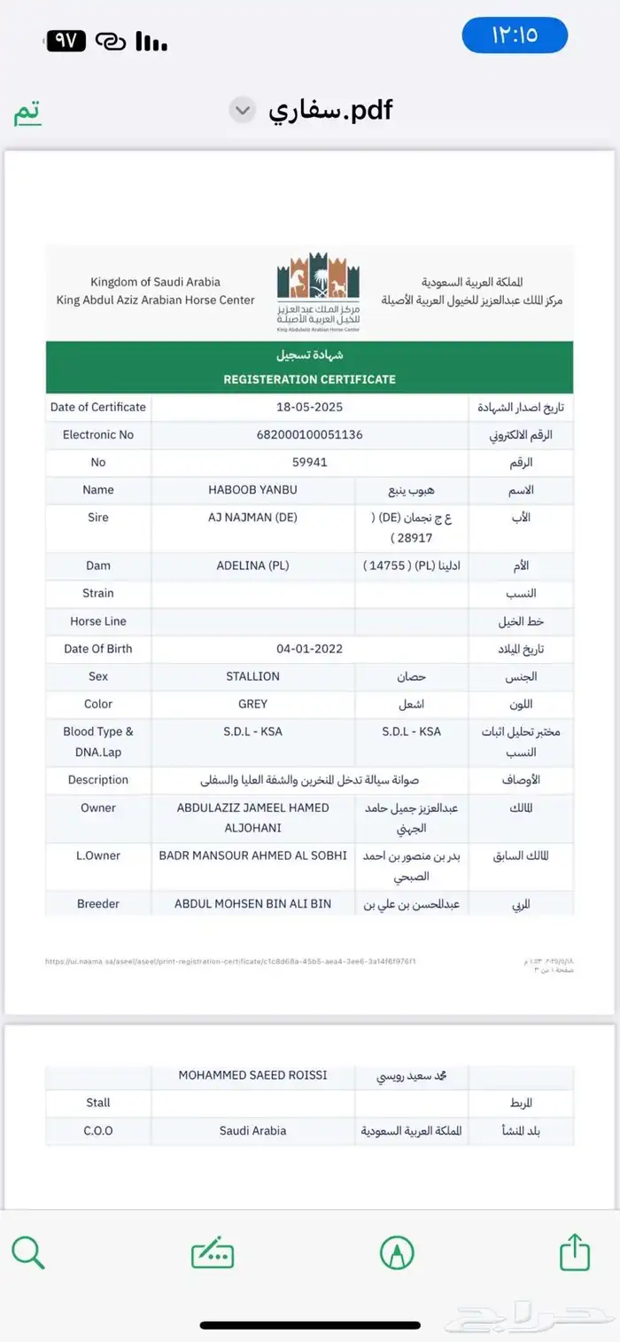 حصان واهو حفيد عجمان منسيوني ابن دبليو اس جستس 8