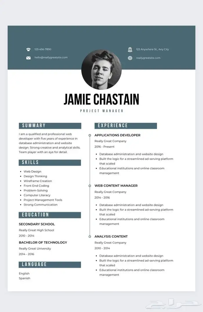 سيرة ذاتيه لغتين مدمج واحترافي باقل الاسعار CV ATS 0