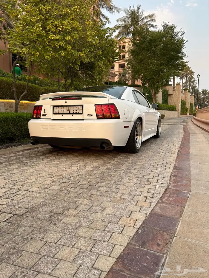 موستنج كوبرا  موديل99 0