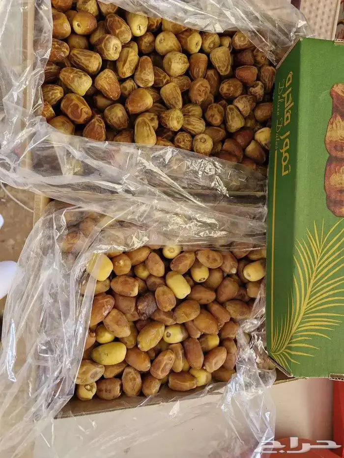 سكري تمر رطب الجبيل الصناعية 6