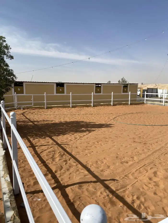 تدريب ومدرسه لتعليم الفروسيه شرق الرياض خلف محطة صحاري 3