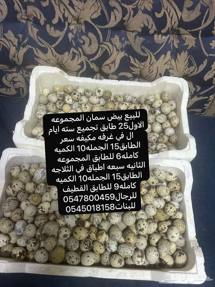 بيض سما 0