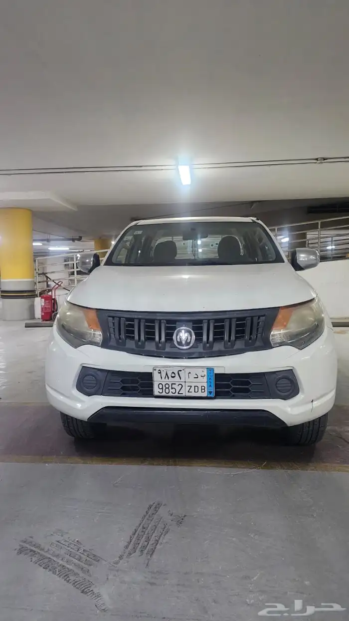 بيكب دوج رام2017 3
