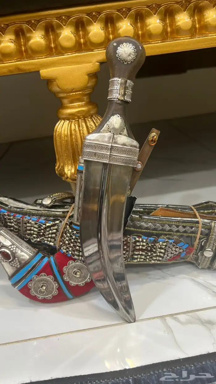 جنبيه محليه زراف 2