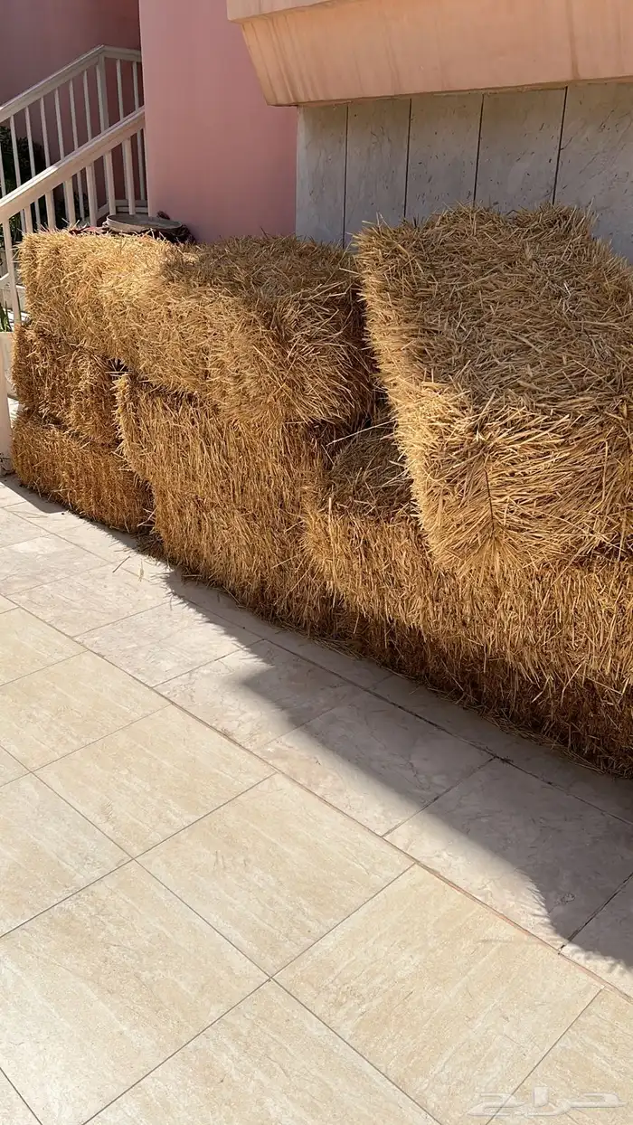 للبيع تبن 12 حزمه 0