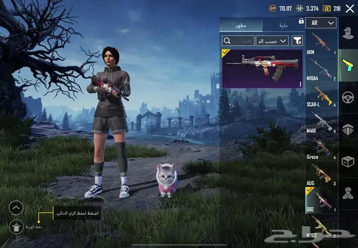 حساب ببجي 49