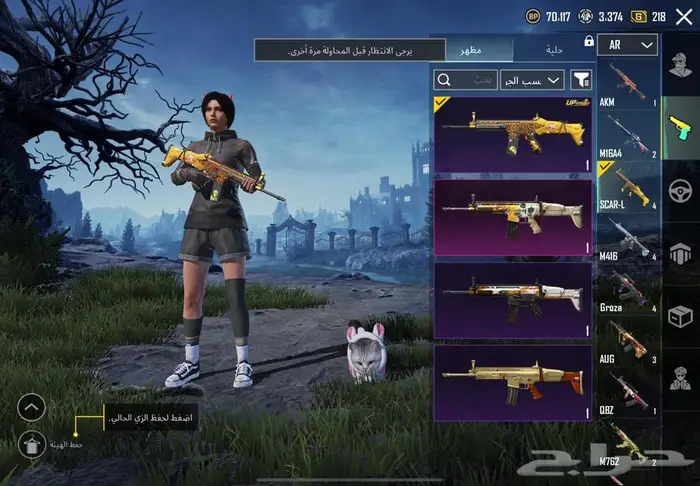 حساب ببجي 45