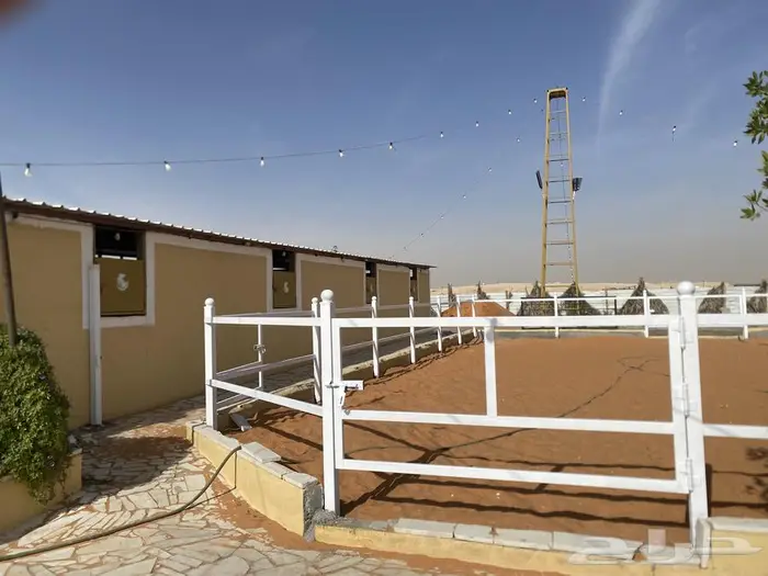 تدريب ومدرسه لتعليم الفروسيه شرق الرياض خلف محطة صحاري 2
