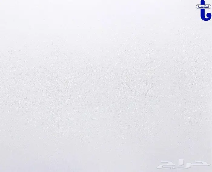 اسقف مستعارة 3