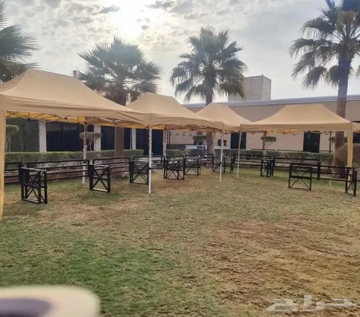 تاجير عقود تاجير مضلات 4