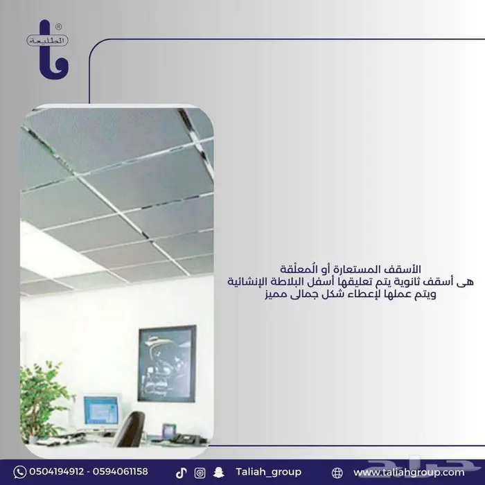 اسقف مستعارة 1