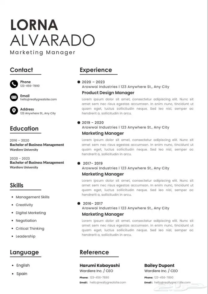 تصميم سيرة ذاتية احترافية 2