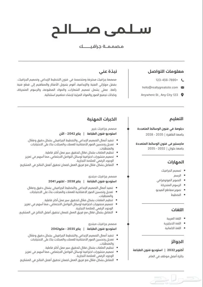 تصميم سيرة ذاتية احترافية 0