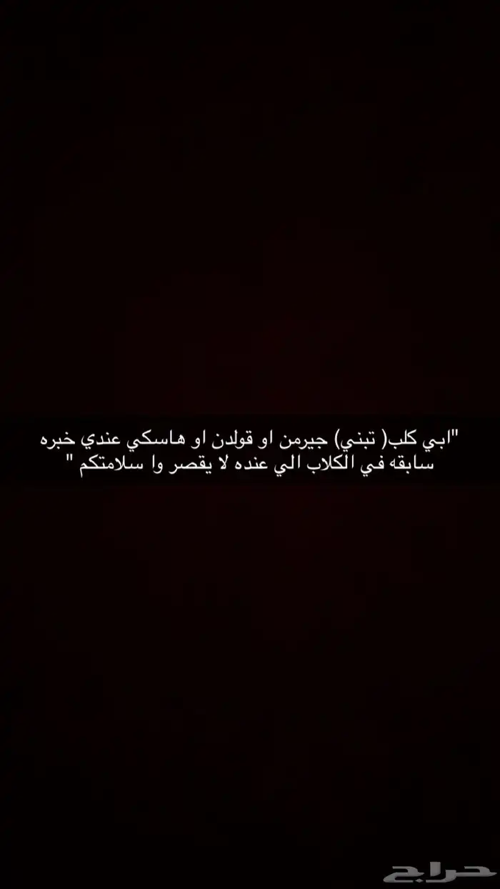 ابي كلب( تبني) جيرمن او قولدن او هاسكي الي عنده لا يقصر 0