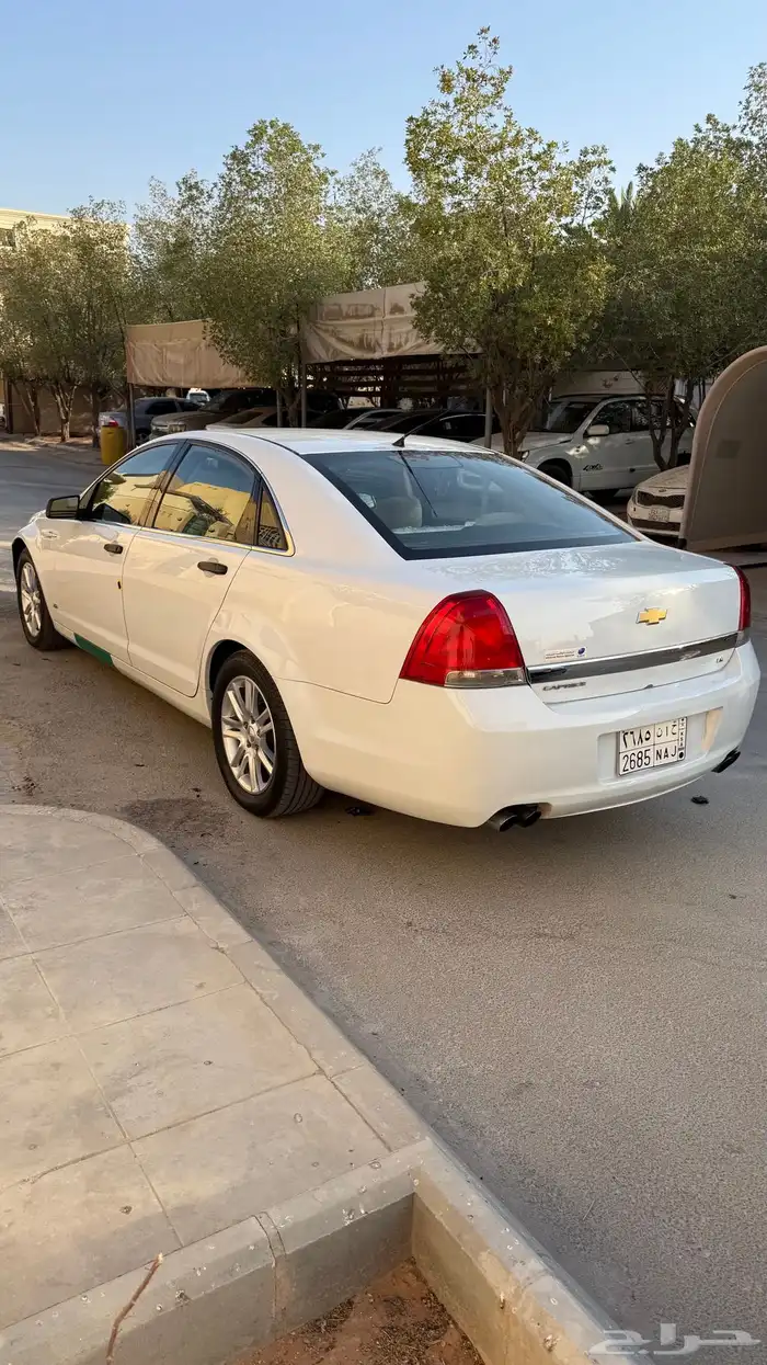 كابرس 2013 ممشى 150 6