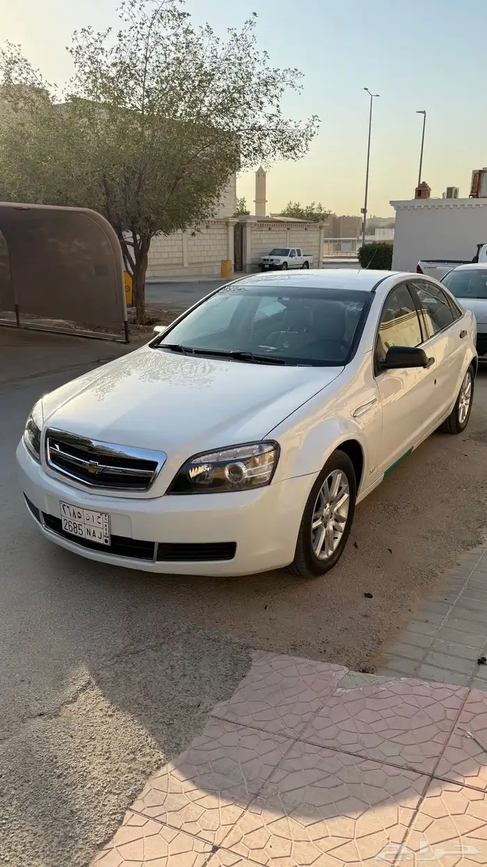 كابرس 2013 ممشى 150 1