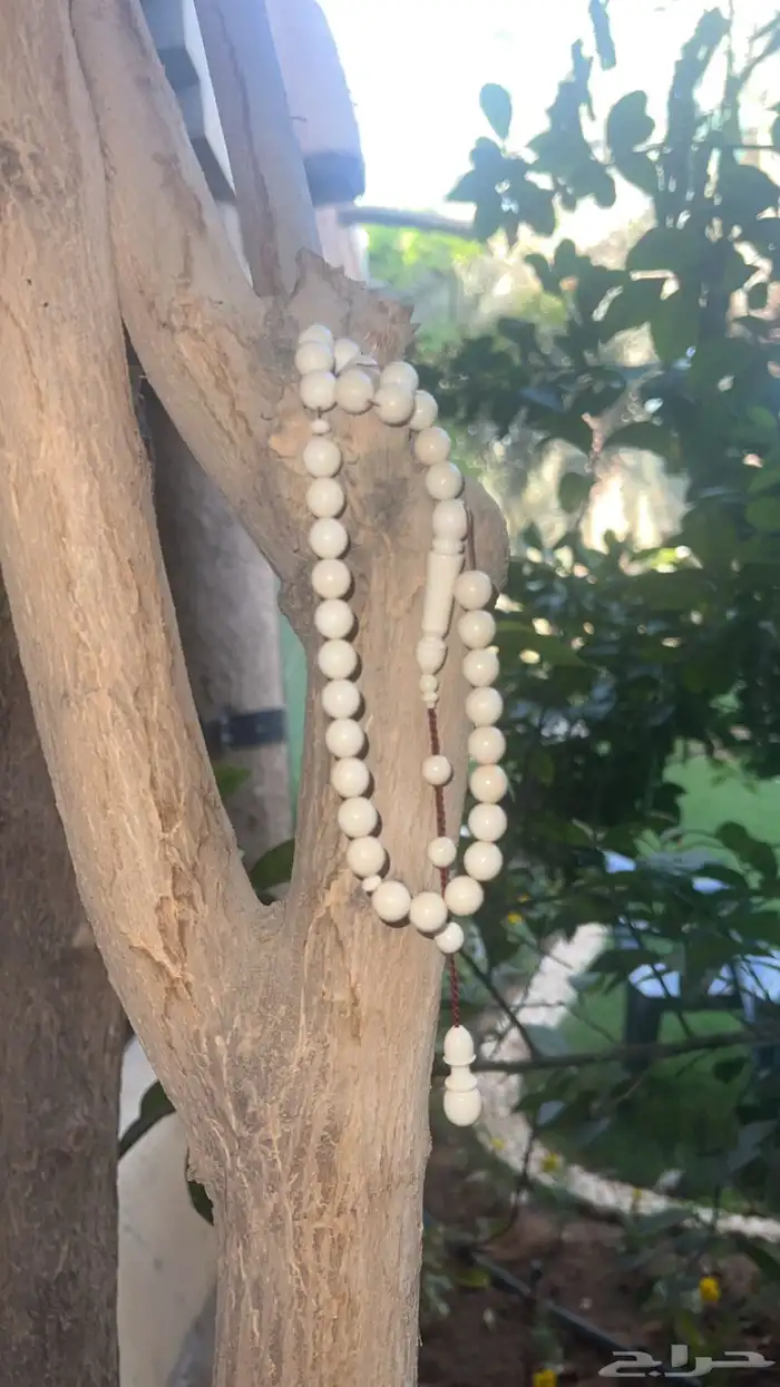 سبحة عاج 1