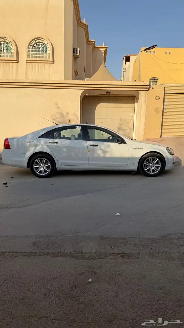 كابرس 2013 ممشى 150 4