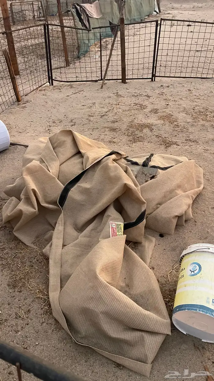 راويه ماء للغنم ومقيل شراع 1