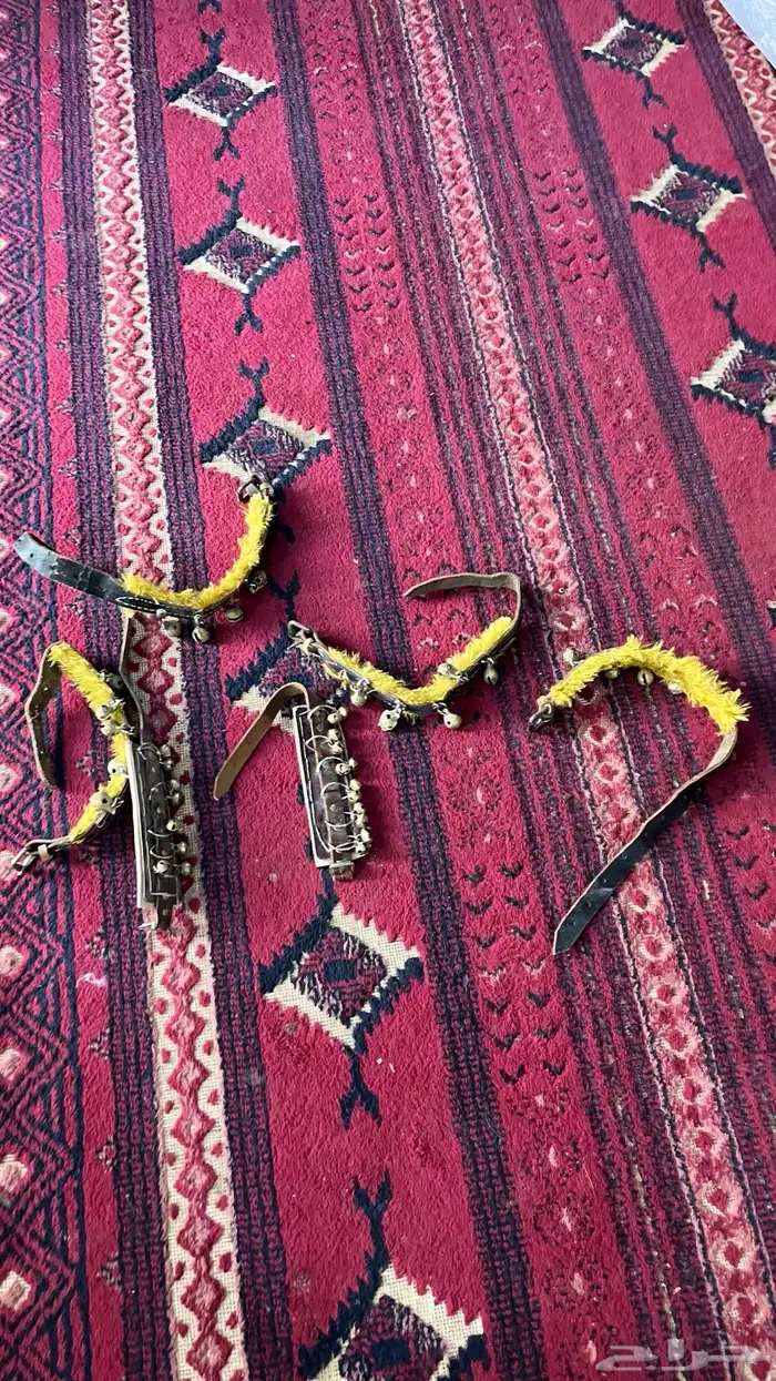 مستلزمات خيل للبيع الحد 120 لايتوصل الى صامل 2