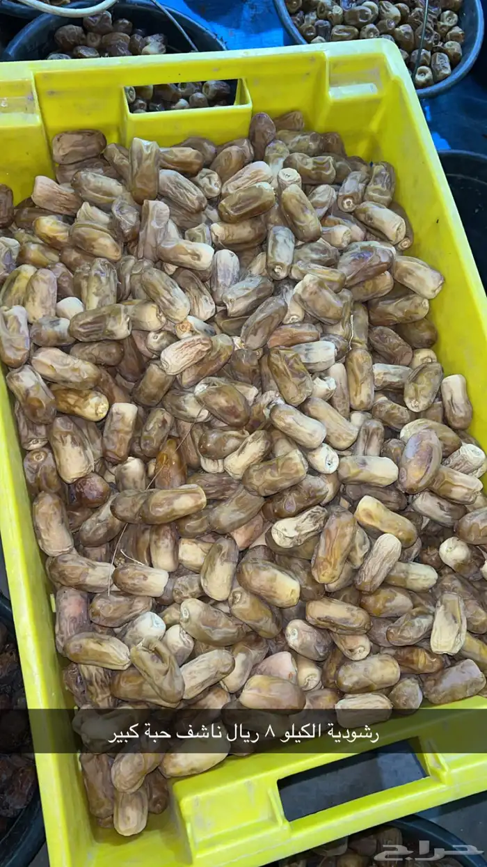 تمور فاخرة للبيع 4