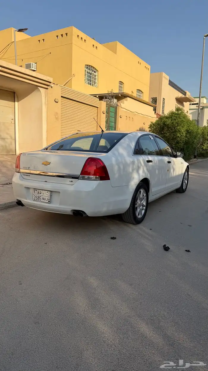 كابرس 2013 ممشى 150 5