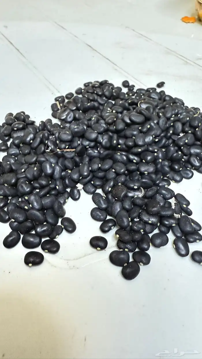 شاي ازرق 1