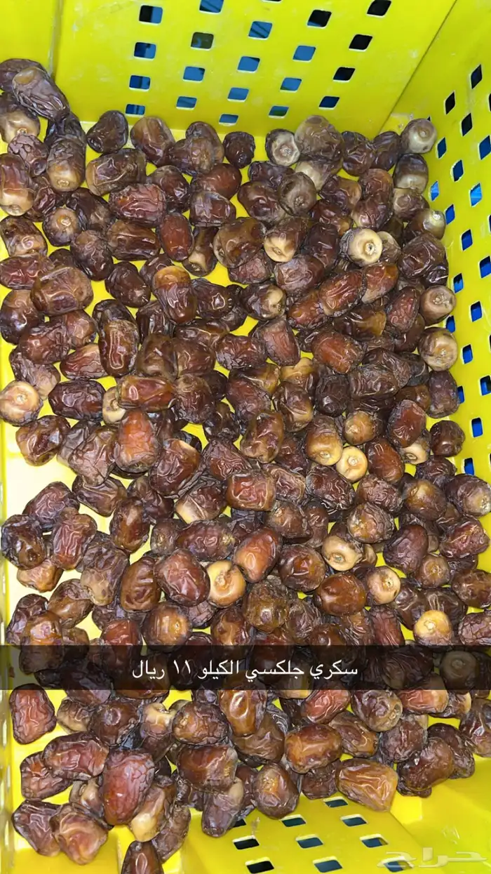 تمور فاخرة للبيع 3