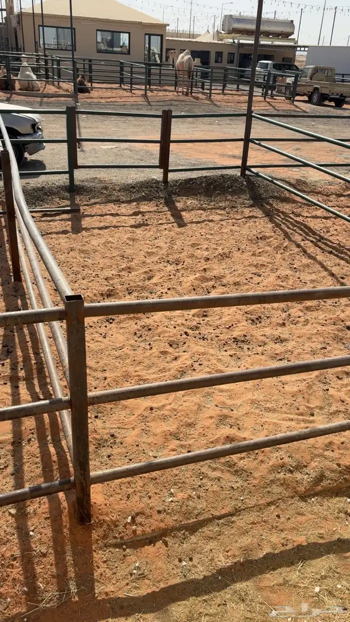 يوجد حضاير الابل الايجار 0