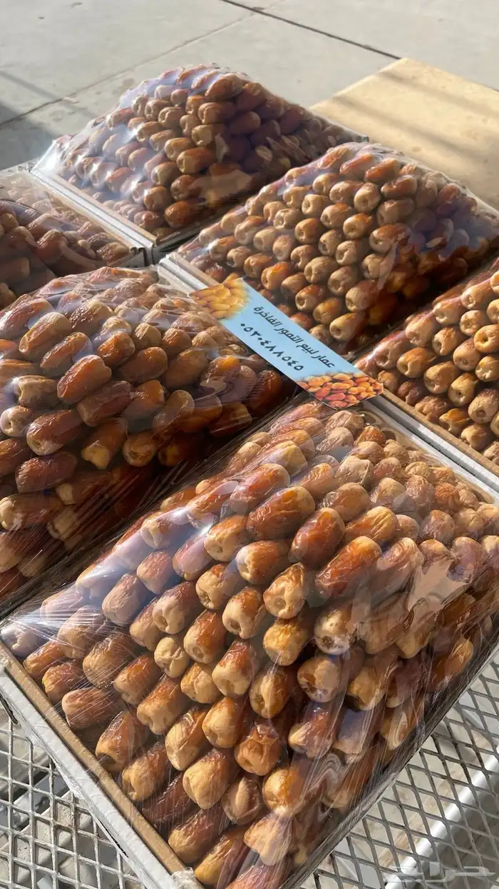 صقعي فاخر 1